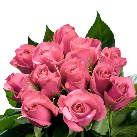 Globalrose Fresh Pink Roses Bulk (100 Stems)-roses-pink-100 - The Home ...