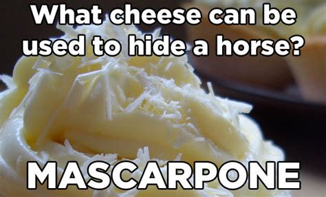 22 Cheese Puns That Are Too Important And Funny To Miss Out