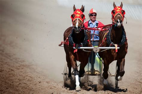 BRIANA SCROGGINS: Chariot Racing