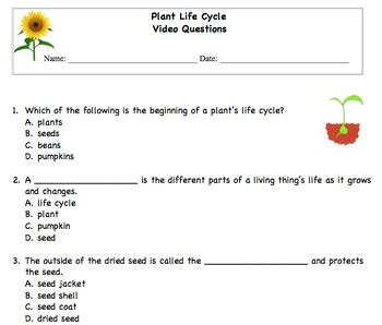 Plant Life Cycle Multiple Choice Questions by Texas Teacher | TpT