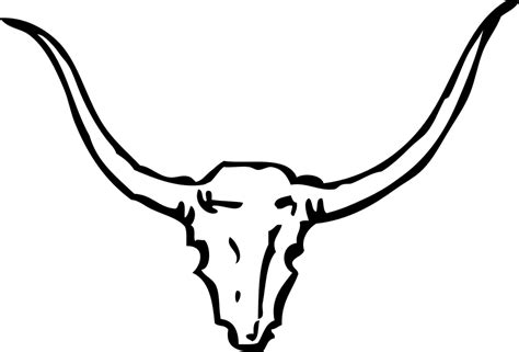 Bull Skull Cow · Free vector graphic on Pixabay