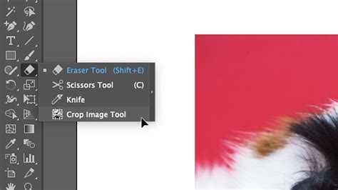 How to Crop an Image in Adobe Illustrator