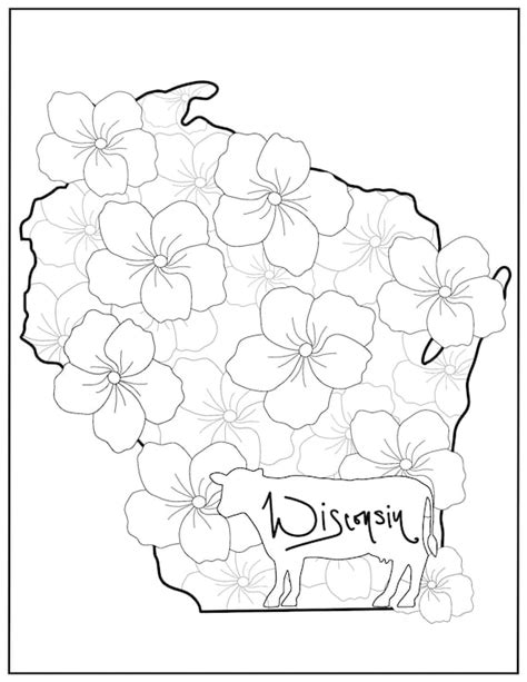 State Coloring Page Wisconsin Flowers State Flower Animal - Etsy