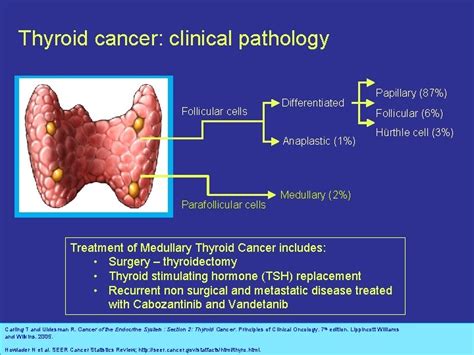 Management Advances for Differentiated and Medullary Thyroid Carcinoma