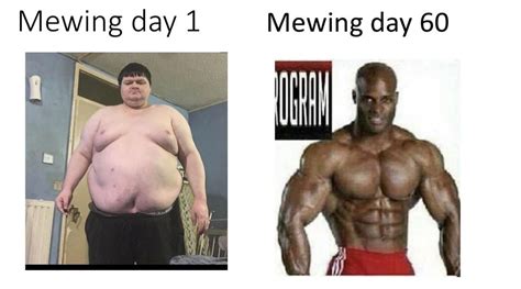 Mewing day 1, mewing day 2 :memes : r/Mewing