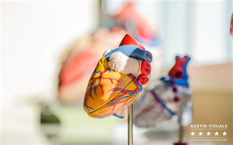 Heart Anatomy 3D Animation Video Production | Austin Visuals