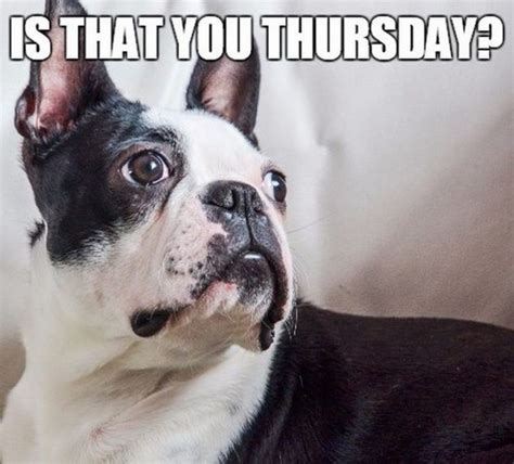 101 Thursday Memes - "Is that you Thursday?" | Thursday meme, Funny ...