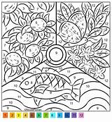 Nicoles Free Coloring Pages COLOR BY NUMBER  COLORING PAGES sketch template