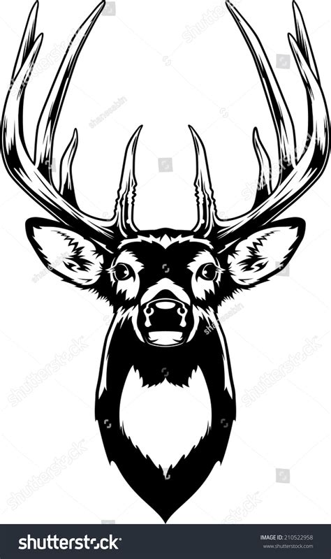 Whitetail Deer Head Vector Illustration Whitetail Stock Vector (Royalty ...