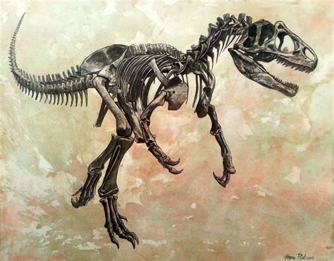 Allosaurus fragilis skeleton by watjong on DeviantArt