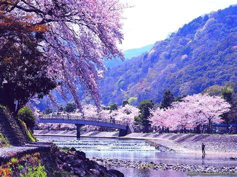 Japan Nature Wallpaper - WallpaperSafari