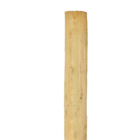 Unbranded 4 in. x 4 in. x 8 ft. Pressure-Treated Pine Agriculture Fence ...