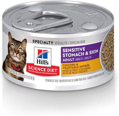 10 Best Cat Food for Sensitive Stomach - Kitten Passion