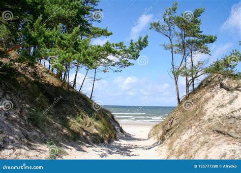 Beach on the Baltic Sea, Poland Stock Photo - Image of seagull, surge ...