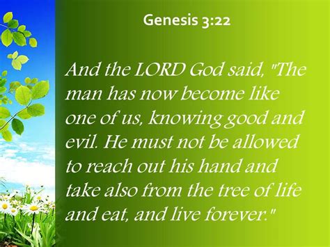 Genesis 3 22 The Tree Of Life And Eat Powerpoint Church Sermon ...