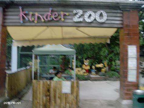 Manila Zoo, the oldest zoo in Asia - HubPages