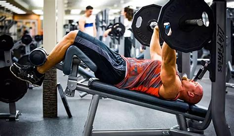 The Proper Dumbbell Bench Press Form: Ensure The Optimal Growth of Your ...