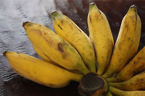 9 Untold Health Benefits Of Burro Bananas That Must Be Told To The ...