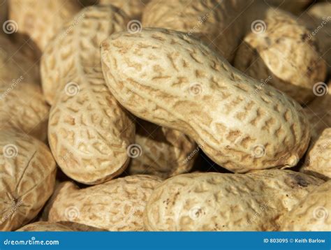 Peanut In Shell Royalty Free Stock Photo - Image: 803095