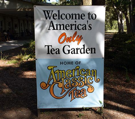 Charleston Tea Plantation - Charleston-SC.com