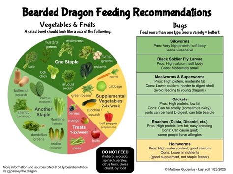 Printable Bearded Dragon Food Chart | Printable Templates Free