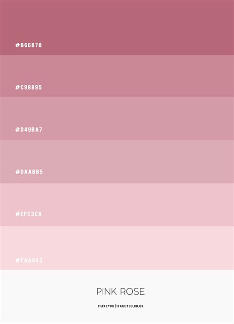 Pink Rose Colour Scheme | Shades of pink colour palette | Pink Combos