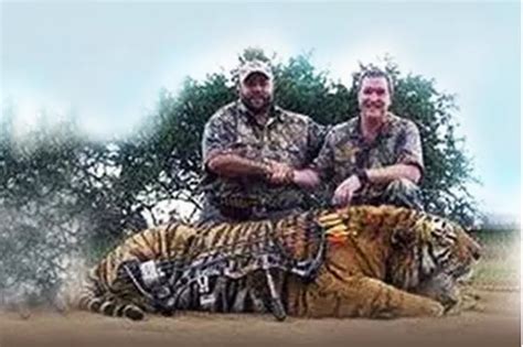 Trophy hunters are being offered chance to shoot farmed tigers in ...