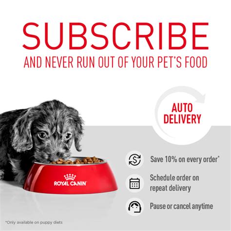 Buy Royal Canin Golden Retriever Puppy Dry Dog Food Online | Low Prices, Free Shipping