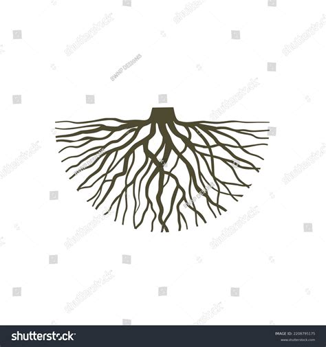 Roots Isolated Vector Stock Illustration Stock Vector (Royalty Free) 2208795175 | Shutterstock