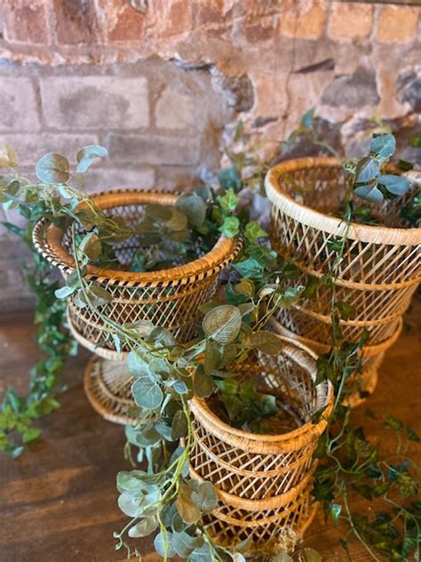 Rattan Planters | Vintage Gathering