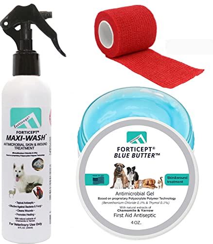 The Best Hot Spot Treatment For Dogs - CatTime