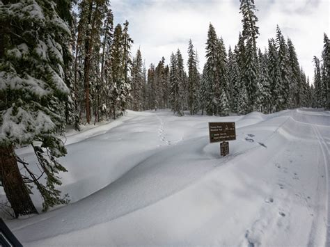 Badger Pass Photo Gallery - Yosemite