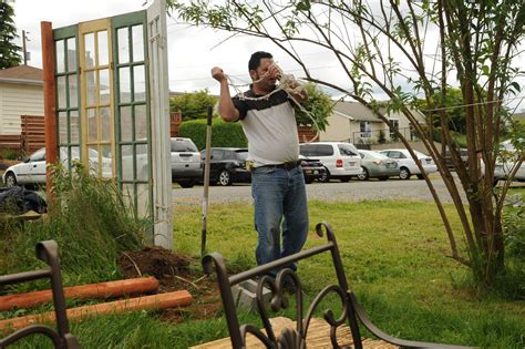 Building the funky part of a fence, reusing glass doors fr… | Flickr