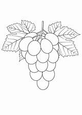 Grapes coloring pages To Download And Print For Free sketch template