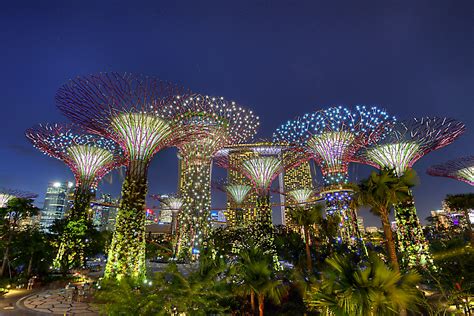 Singapore: Flower Dome and Cloud Forest, a botanical world