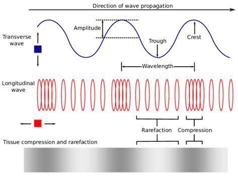 Wave Diagram Gcse