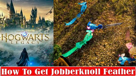 Hogwarts Legacy: How To Get Jobberknoll Feather - YouTube