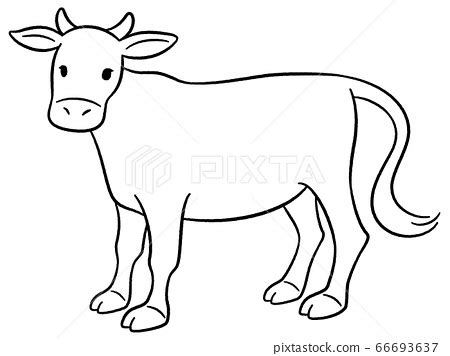 Line drawing illustration of cow (hand-drawn... - Stock Illustration ...