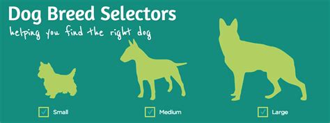 8 Dog Breed Selector Tools For Find Your Perfect Dog!