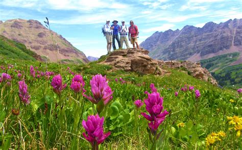 Crested Butte Wildflower Festival