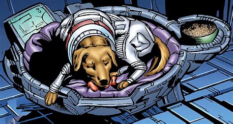 Cosmo - Marvel Comics - Soviet dog - Guardians of the Galaxy - Profile - Writeups.org