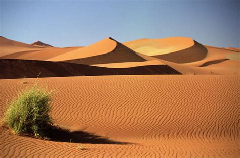 Sand Dunes In Namib Desert, Namibia by Walter Bibikow