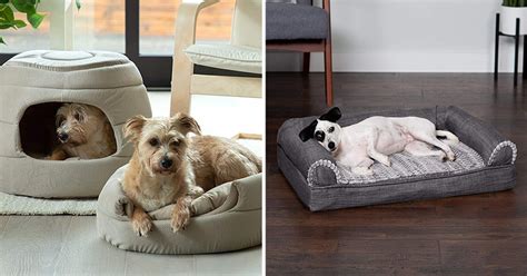 The 12 Best Calming Dog Beds In 2022