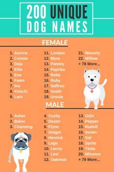 60 Best Pet names images | Pet names, Dog names, Dog names unique