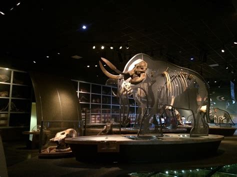 Western Science Center in Hemet, California - Kid-friendly Attractions ...