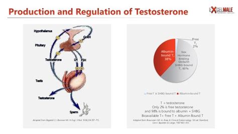 Testosterone Replacement Benefits and Side Effects