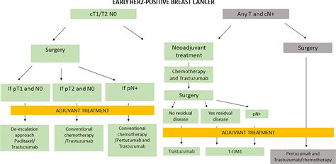 Frontiers | Management of HER2-Positive Early Breast Cancer in Italy: A Maze Presenting ...