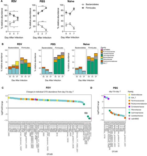 | The ratio of Bacteroidetes to Firmicutes increases in the gut ...