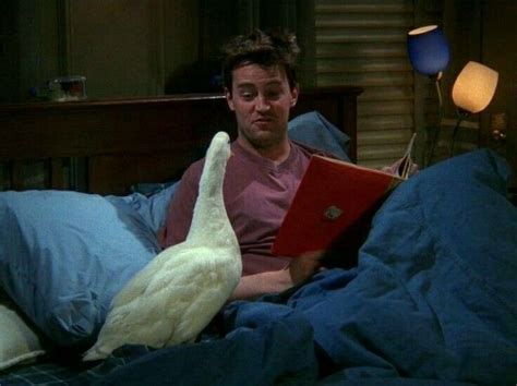 #chandlerbing #friends Tv: Friends, Chandler Friends, Friends Episodes, Friends Tv Series ...