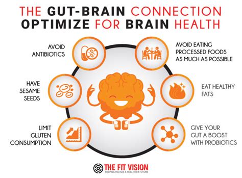 The Gut-Brain Connection: What Is It and How You Can Optimize It for Better Brain Health - The ...